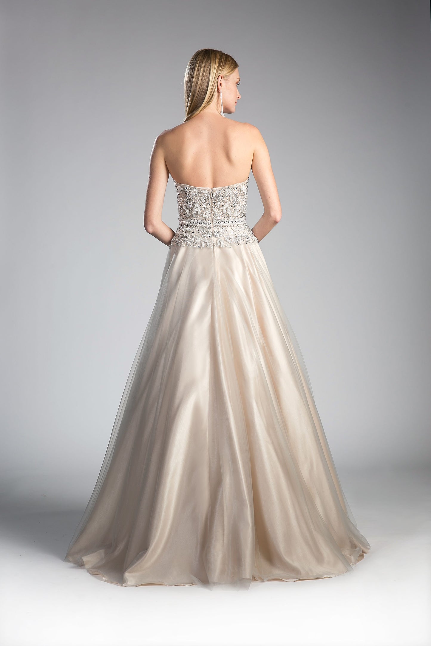 Beaded Lace Bodice Tulle Ball Gown