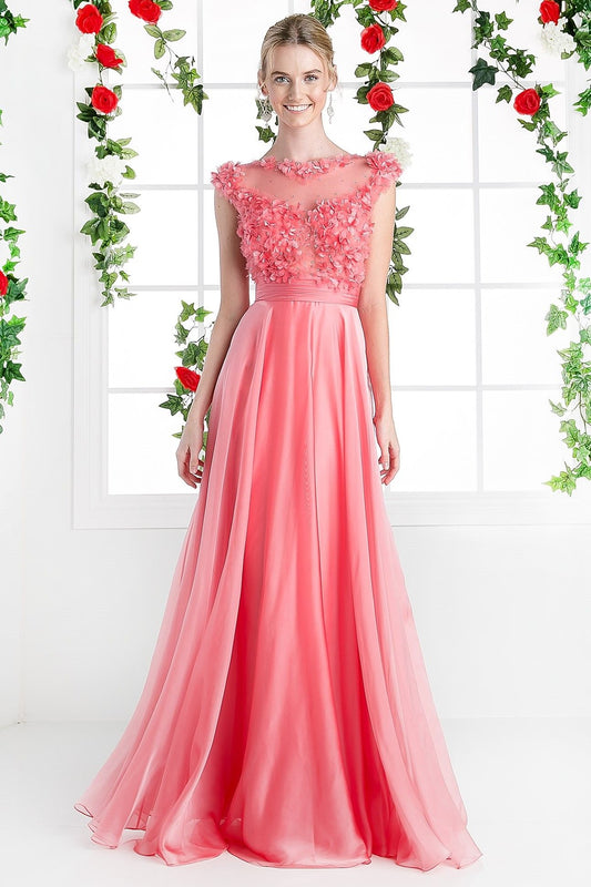 Beaded Applique Chiffon Gown