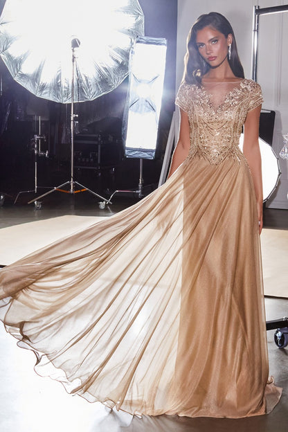 Women's Formal Gown - Elegant Evening Wear - Plus Size & Standard Fit