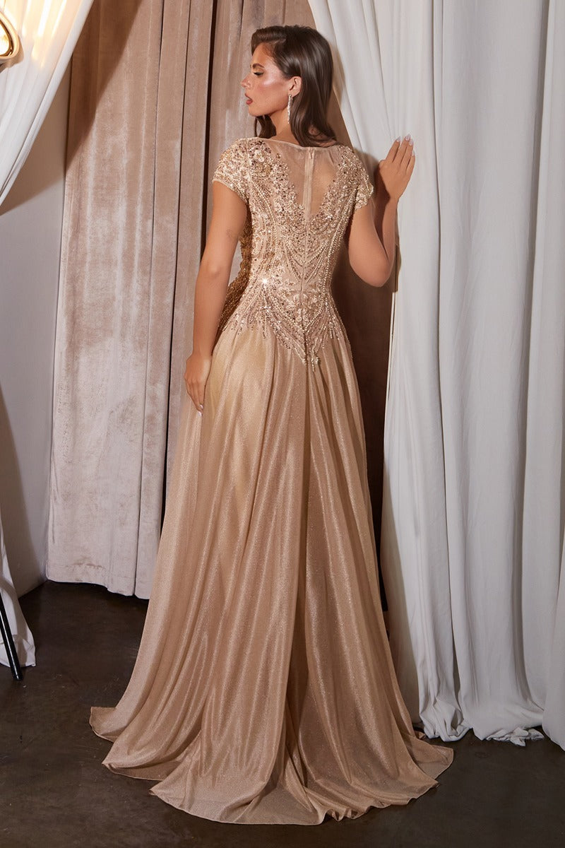 Women's Formal Gown - Elegant Evening Wear - Plus Size & Standard Fit