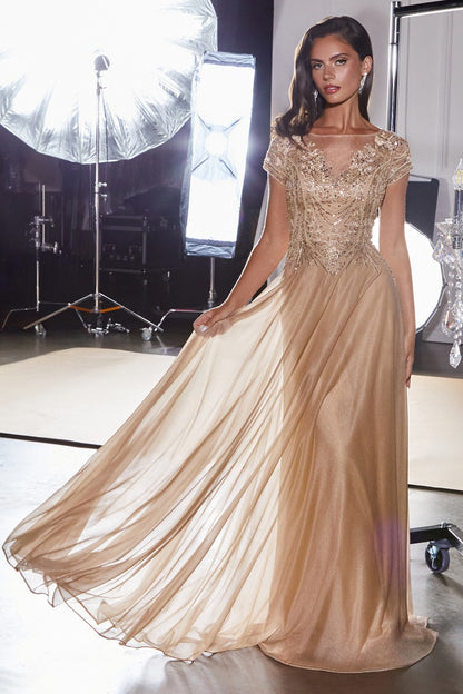 Women's Formal Gown - Elegant Evening Wear - Plus Size & Standard Fit