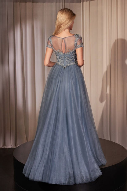 Embellished Lace Layered Tulle Ball Gown