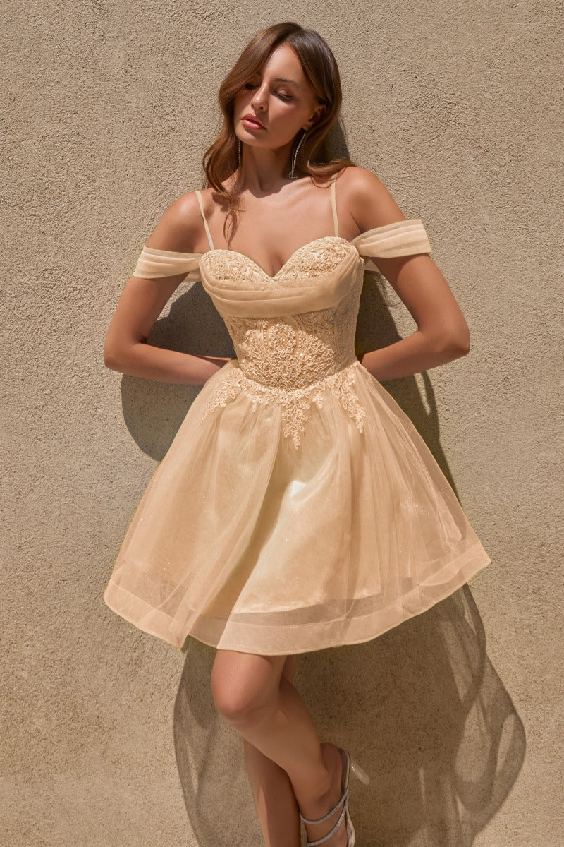 Timeless Elegance Formal Gown For Grand Occasions