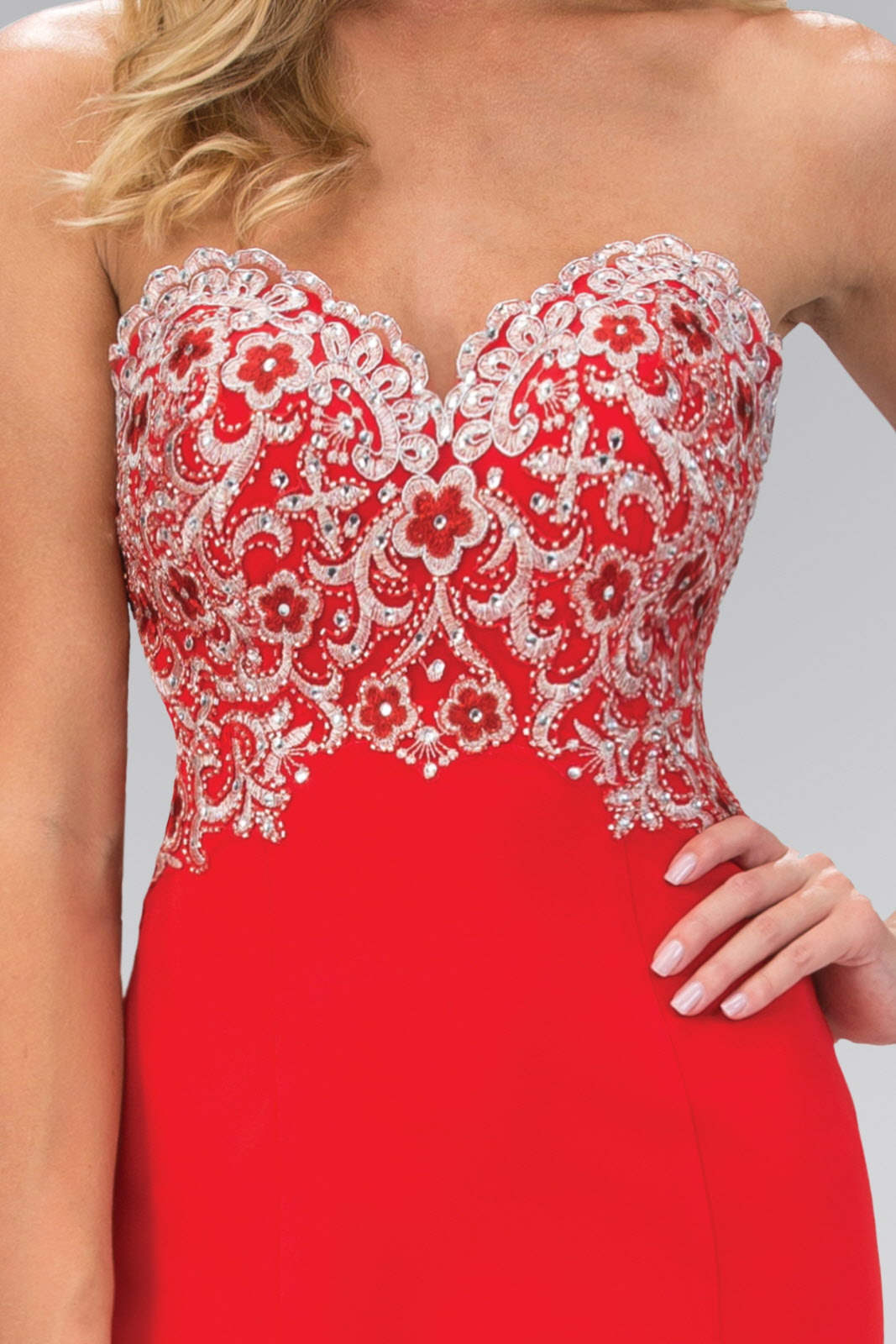 Lace Embellished Strapless Floor Length Dress