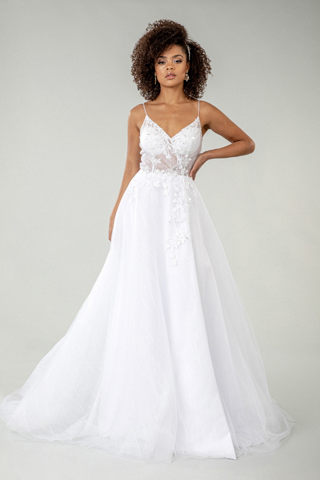 Embroidered Sheer Bodice V-Neck Wedding Gown /w Tail