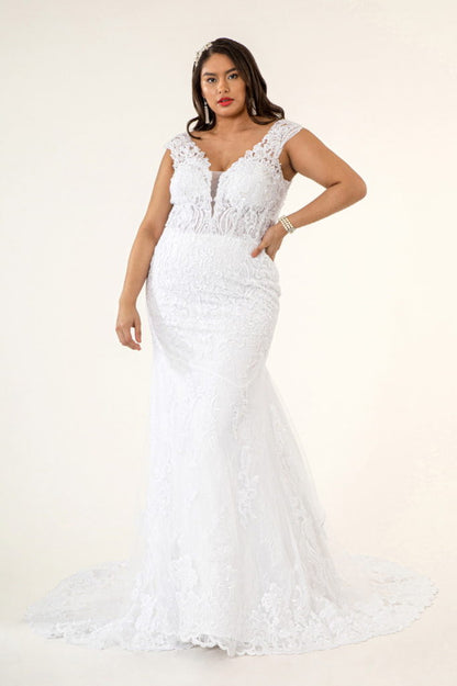 Illusion V-Neck Embroidery Mermaid Tail Wedding Gown