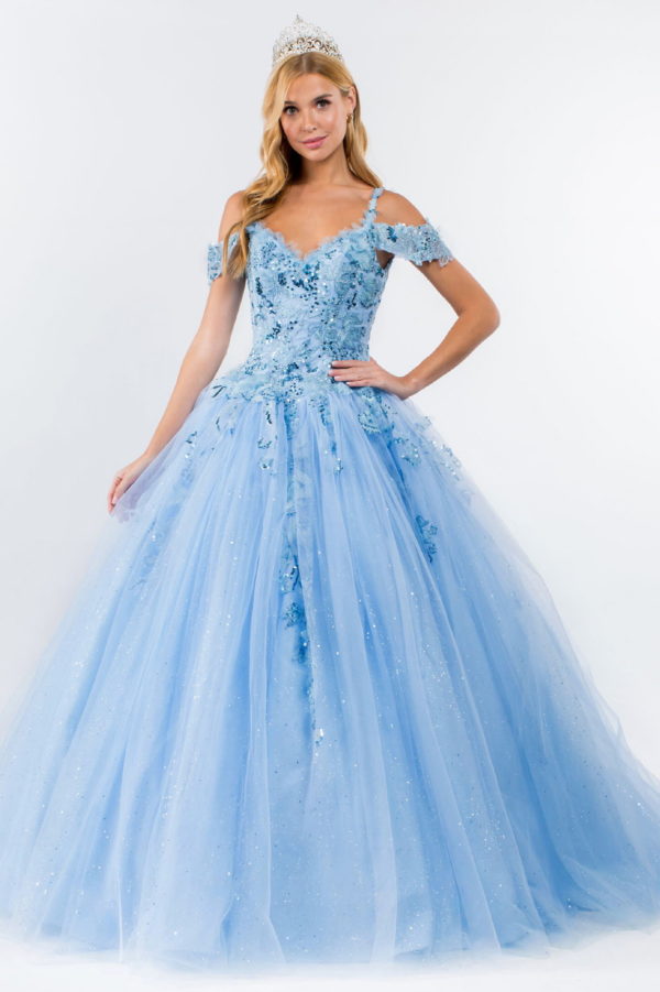 Embroidery Embellished Glitter Mesh Quinceanera Dress