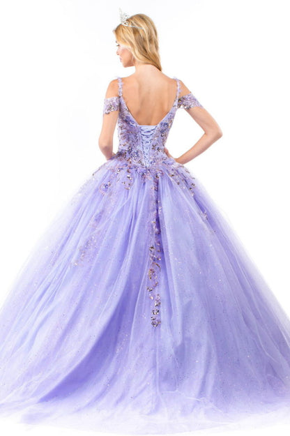 Embroidery Embellished Glitter Mesh Quinceanera Dress