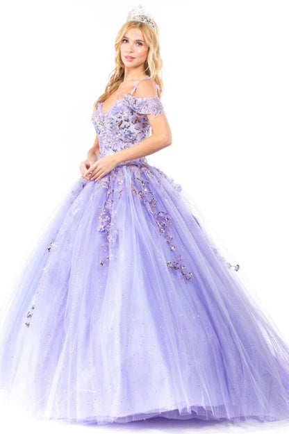 Embroidery Embellished Glitter Mesh Quinceanera Dress