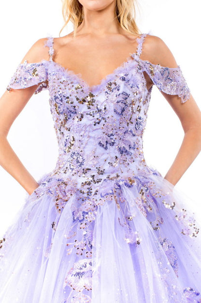 Embroidery Embellished Glitter Mesh Quinceanera Dress