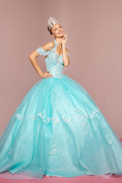 Embroidered Bodice Glitter Mesh Quinceanera Dress