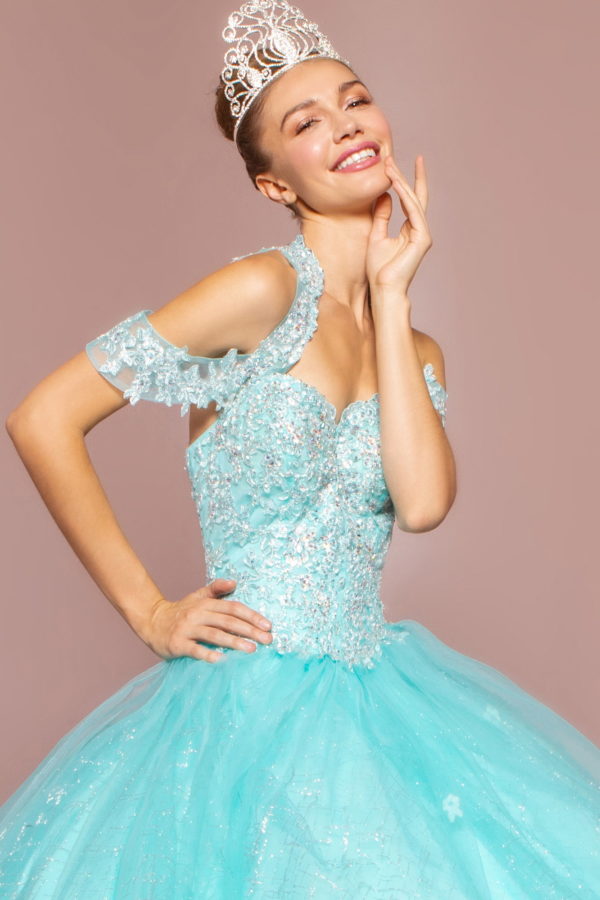 Embroidered Bodice Glitter Mesh Quinceanera Dress