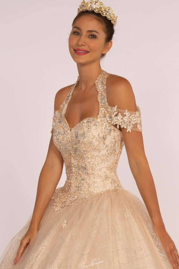 Embroidered Bodice Glitter Mesh Quinceanera Dress