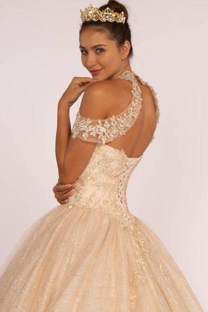 Embroidered Bodice Glitter Mesh Quinceanera Dress