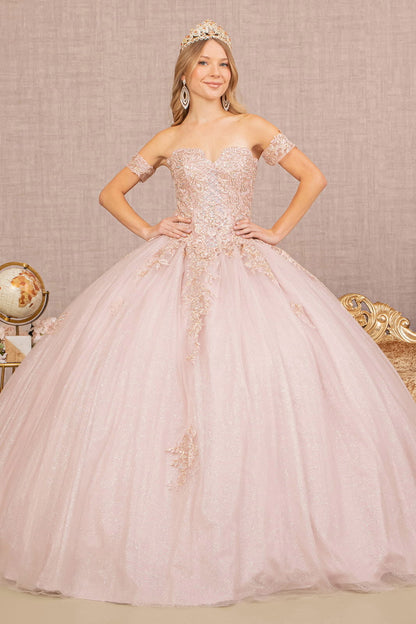 Jewel Embellished Glitter Mesh Sweethearted Ball Gown
