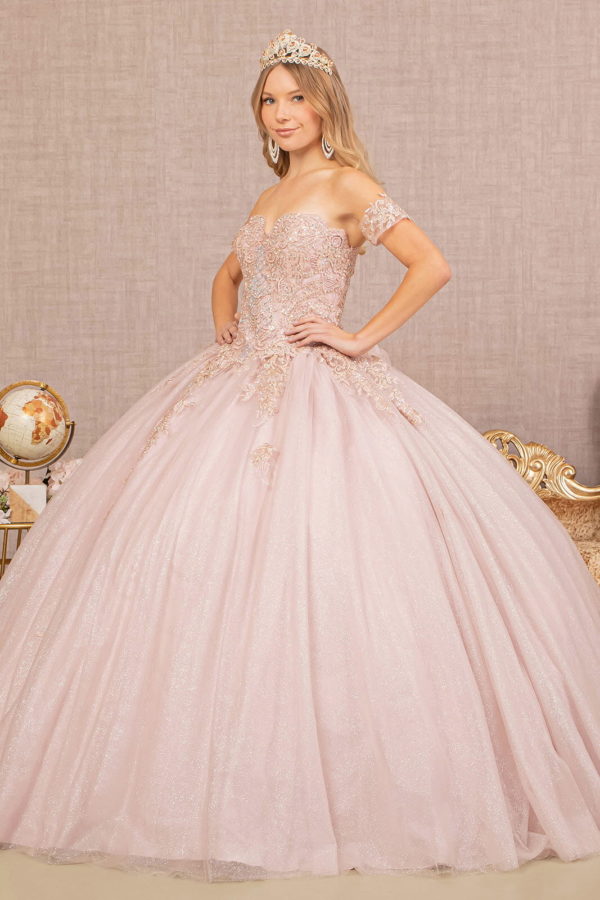 Jewel Embellished Glitter Mesh Sweethearted Ball Gown