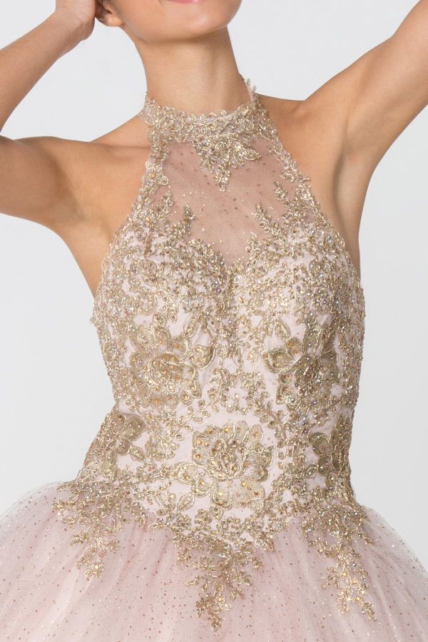 Embroidery and Jewel Embellished Halter Neck Glitter Mesh Ball Gown