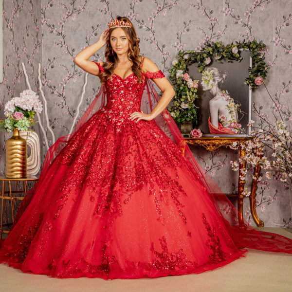 ثوب Quinceanera مزين بفراشات ثلاثية الأبعاد مع ثنى خلفي شبكي قابل للفصل