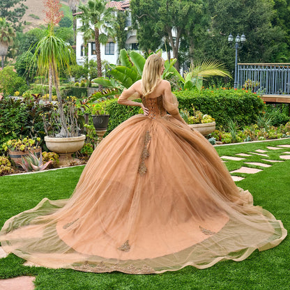 جوهرة 3-D فراشة زين قبالة الكتف شبكة ثوب Quinceanera 
