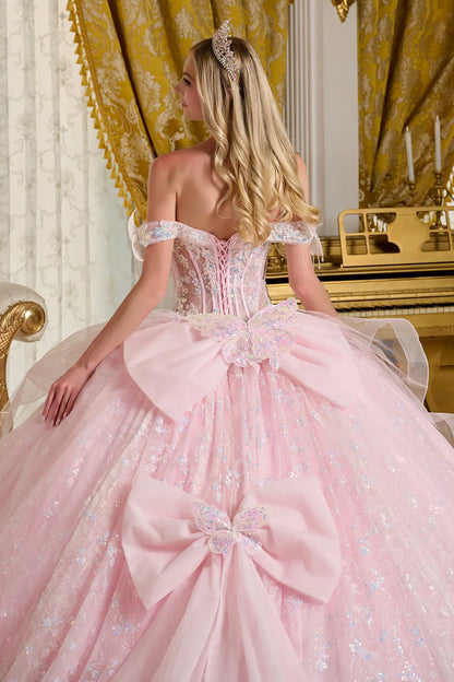 3d Butterfly Applique 3d Flower Beads Back Cascading Ruffle Layer Two Detachable Back Bow Ball Gown