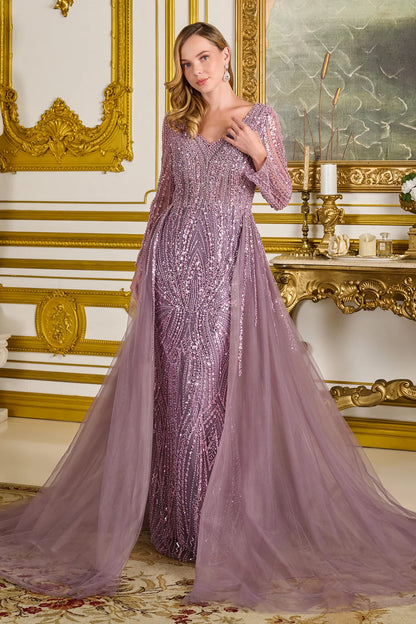 Embellished V Neckline Long Sleeves Zipper V Back A Line Dress With Overskirt