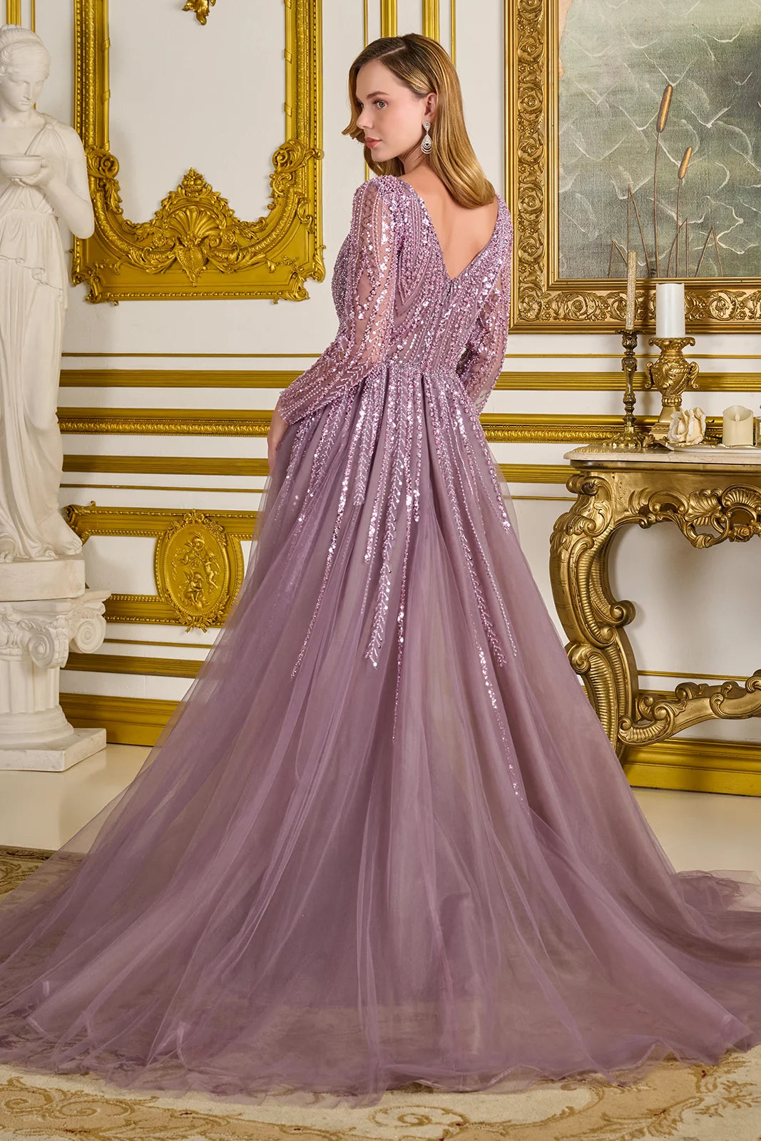 Embellished V Neckline Long Sleeves Zipper V Back A Line Dress With Overskirt
