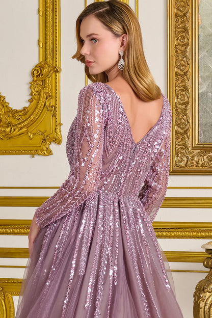 Embellished V Neckline Long Sleeves Zipper V Back A Line Dress With Overskirt