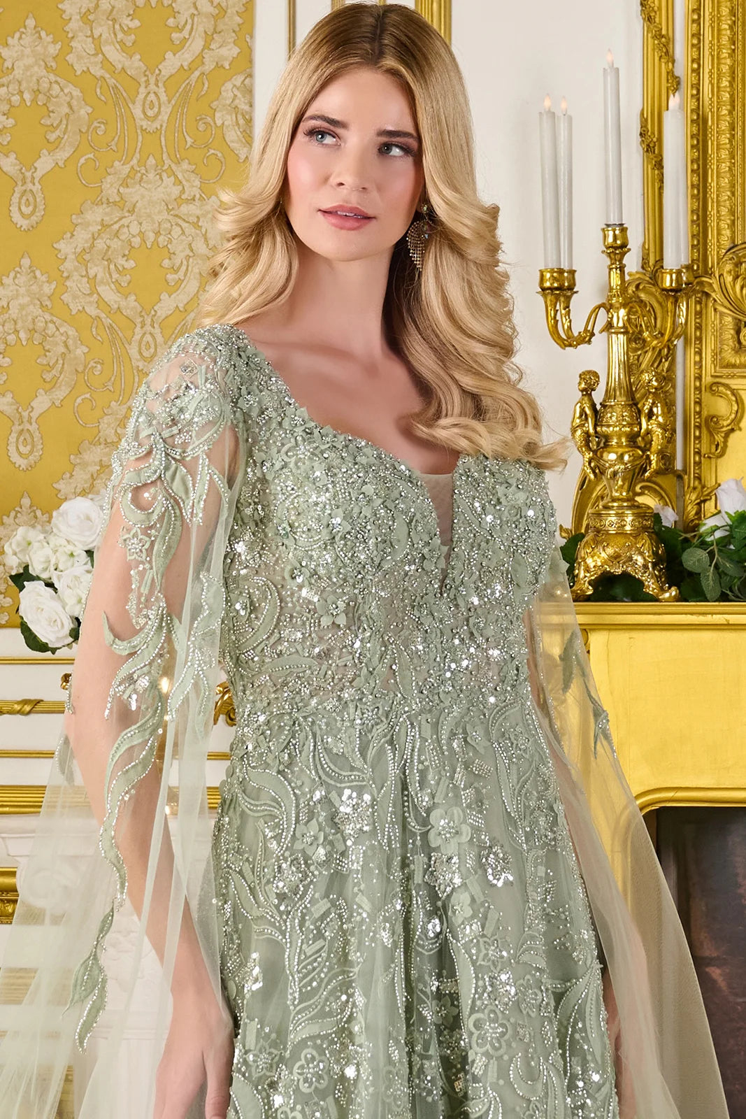 3d Flower Applique Embellished V Neckline Cape Sleeves Zipper A Line Dress