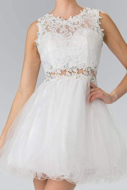 Sleeveless Short Dress with Lace Bodice and Sheer Waistline