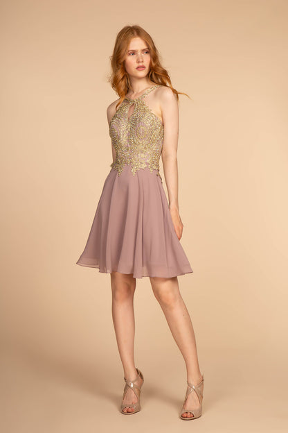 Embroidered Bodice Chiffon Short Dress