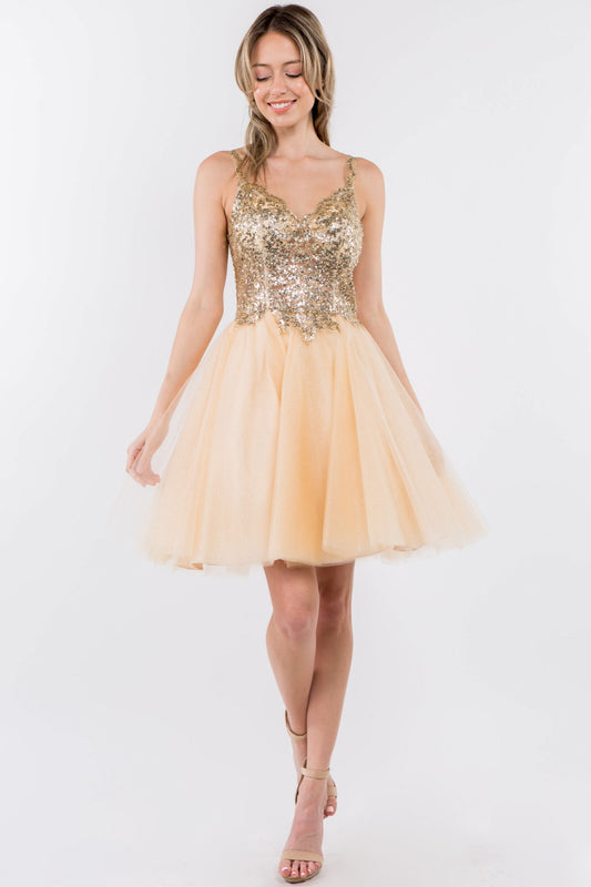 Sequin and Glitter Embellished Sheer Bodice V-Neck Short Dress