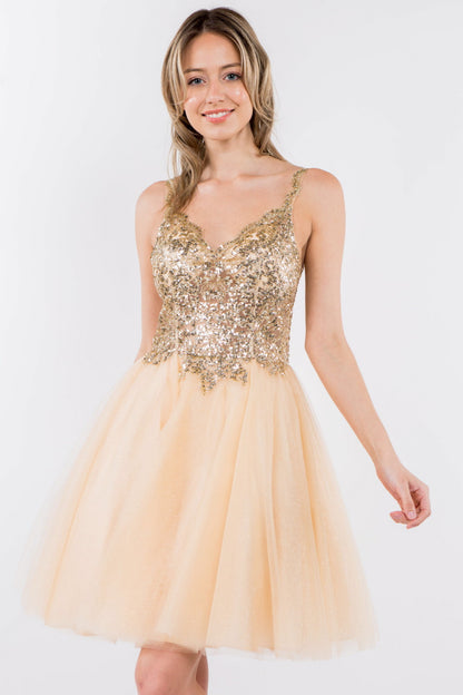 Sequin and Glitter Embellished Sheer Bodice V-Neck Short Dress