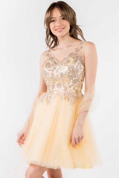 Glitter Embellished Bodice V-Neck Tulle Short Dress