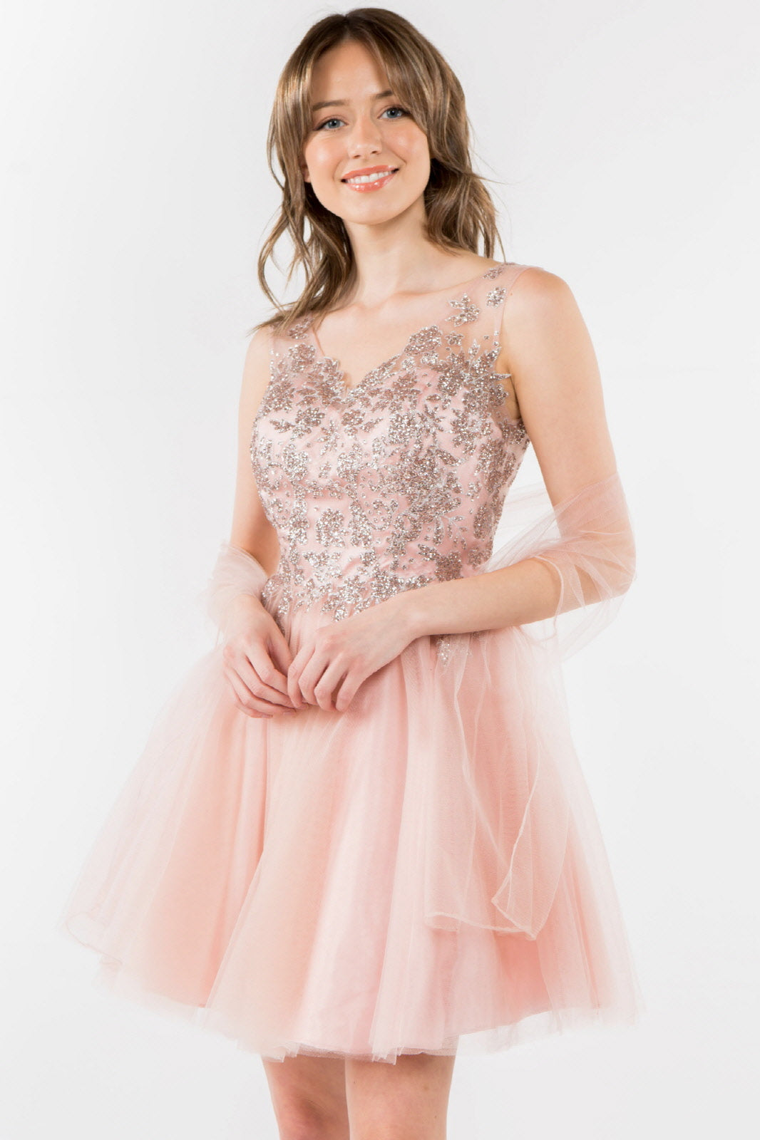 Glitter Embellished Bodice V-Neck Tulle Short Dress