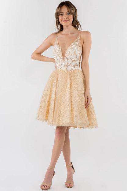 Sheer Bodice V-Neck Glitter Mesh Homecoming Dress