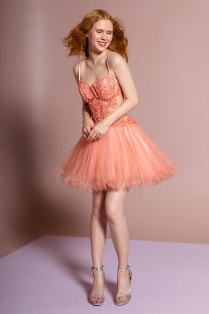 Spaghetti Straps Short Tulle Dress with Lace Bodice