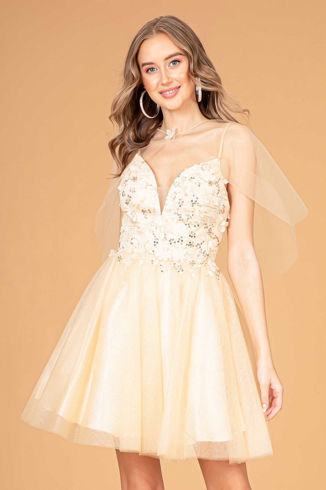 flower applique mesh dress GL3007 | Sheer Bodice 3D Floral Applique A-Line Dress