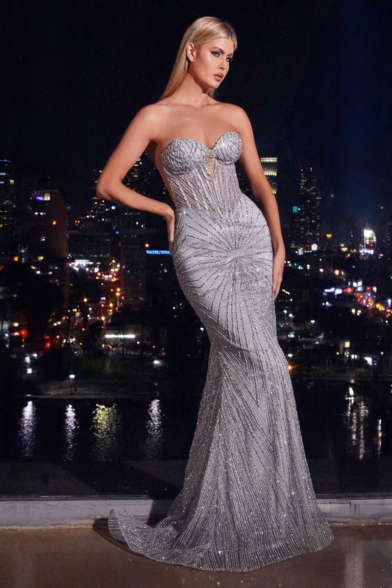 Strapless Silver Embellished Gown