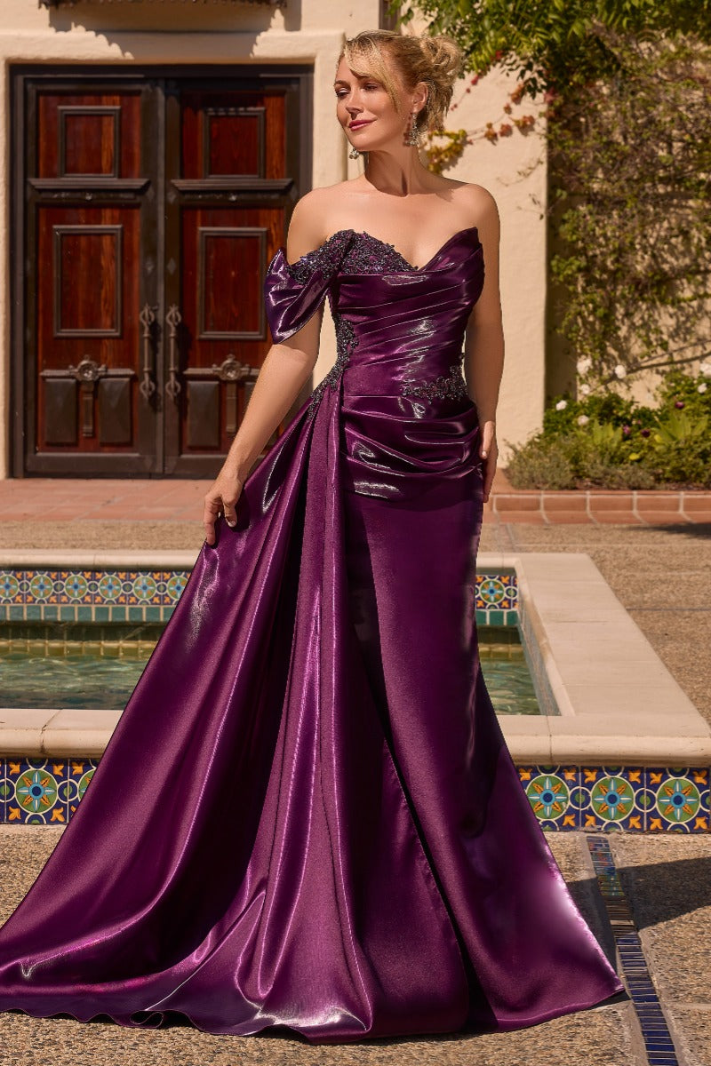 Women's Elegant Formal Occasion Dress