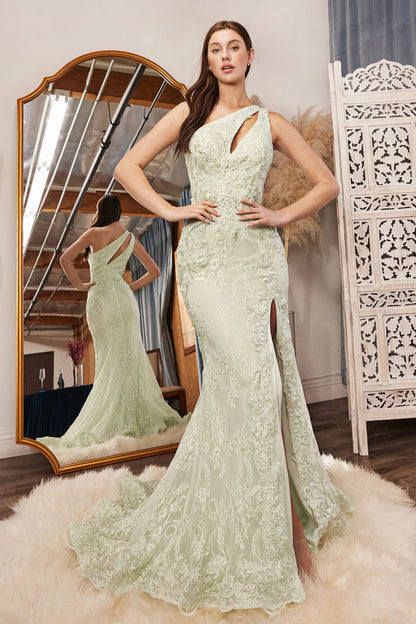 One Shoulder Lace Fitted Gown