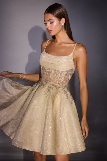 Sparkling Glitter Fit and Flare Mini Dress with Sheer Lace Corset Bodice