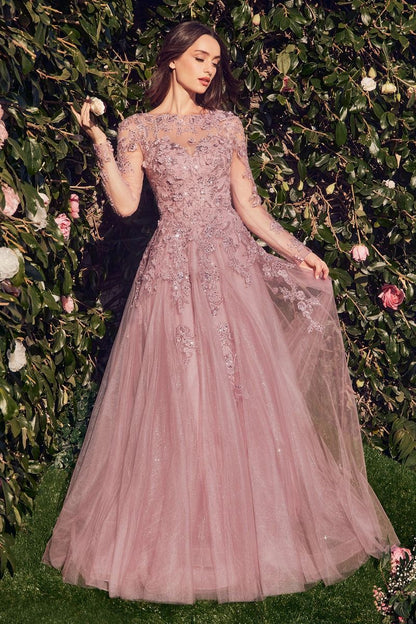 Lace Layered Tulle Long Sleeve Gown