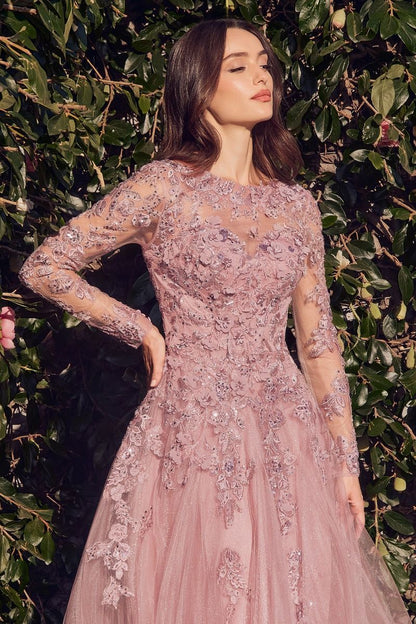 Lace Layered Tulle Long Sleeve Gown