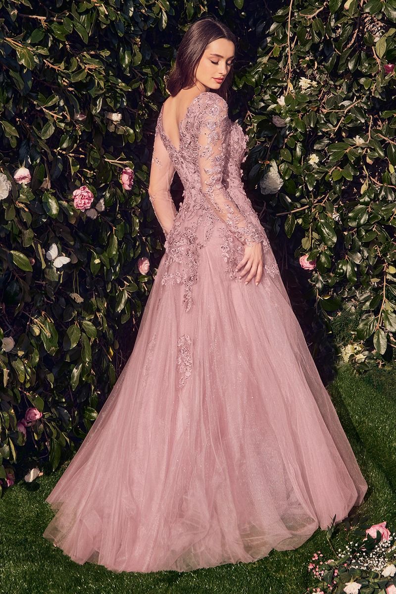 Lace Layered Tulle Long Sleeve Gown