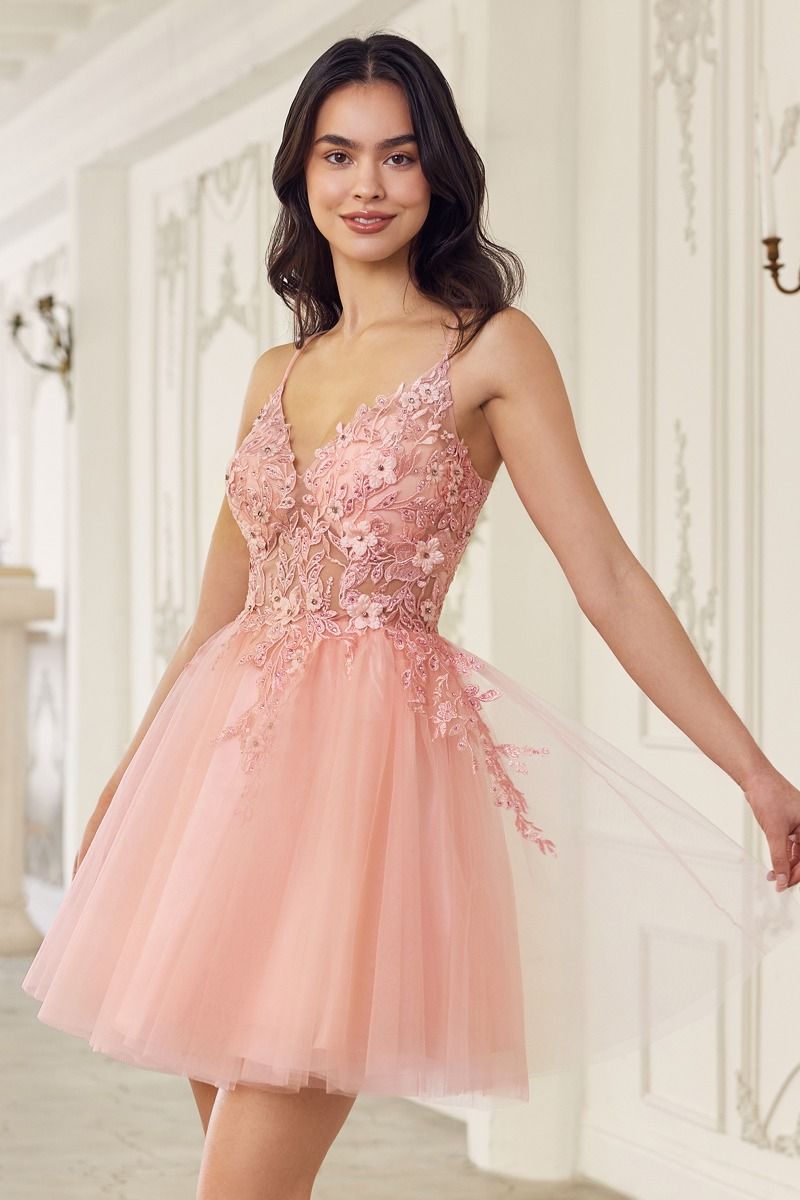 Lace Bodice A-Line Layered Tulle Short Dress