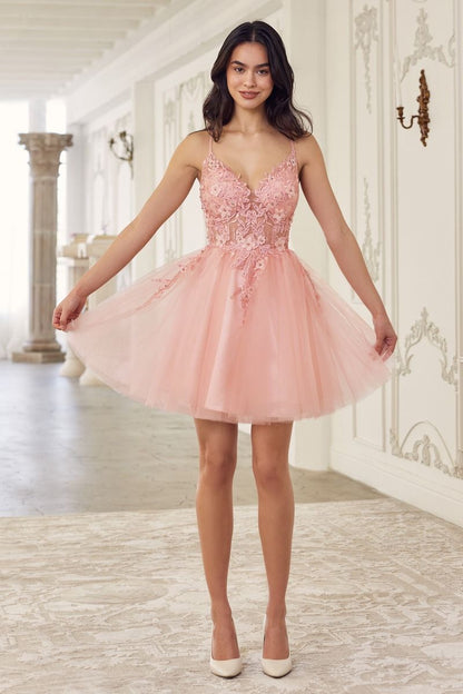 Lace Bodice A-Line Layered Tulle Short Dress