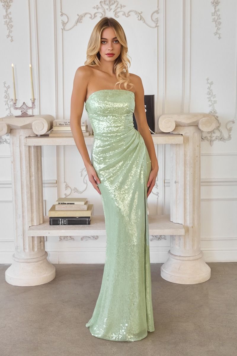 Strapless Neckline Sequin Fabric