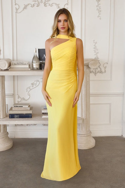 One-shoulder Neckline Draped Chiffon