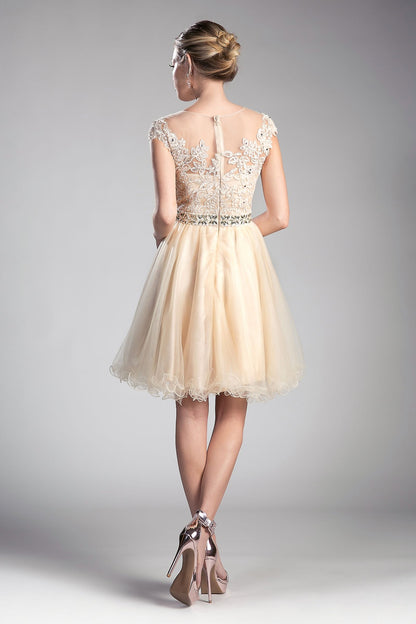 Beaded Lace Bodice Tulle Short Dress