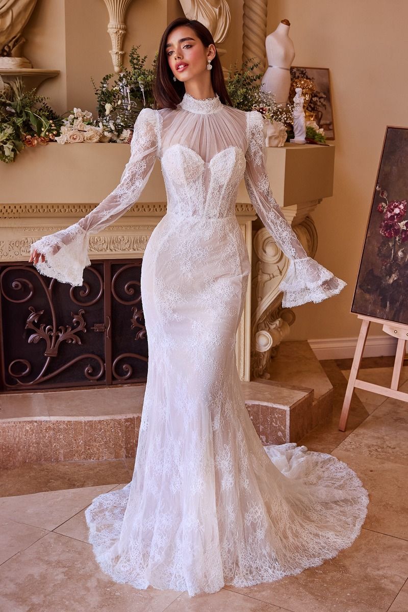 Versitile Fitted Lace Bridal Gown